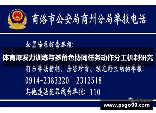 体育爆发力训练与多角色协同任务动作分工机制研究